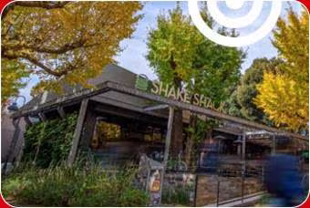 SHAKE SHACK