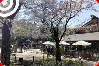 atticroom YASUKUNI GAIEN
